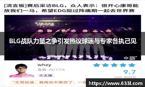 BLG战队力量之争引发热议球迷与专家各执己见